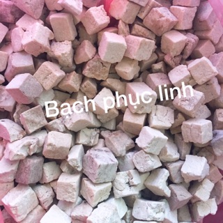 Bạch phục linh- dược liệu quý tốt cho sức khoẻ