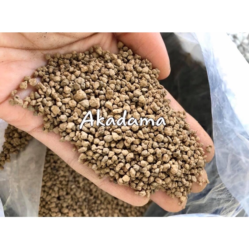 Đá Akadama (size 1-3mm)