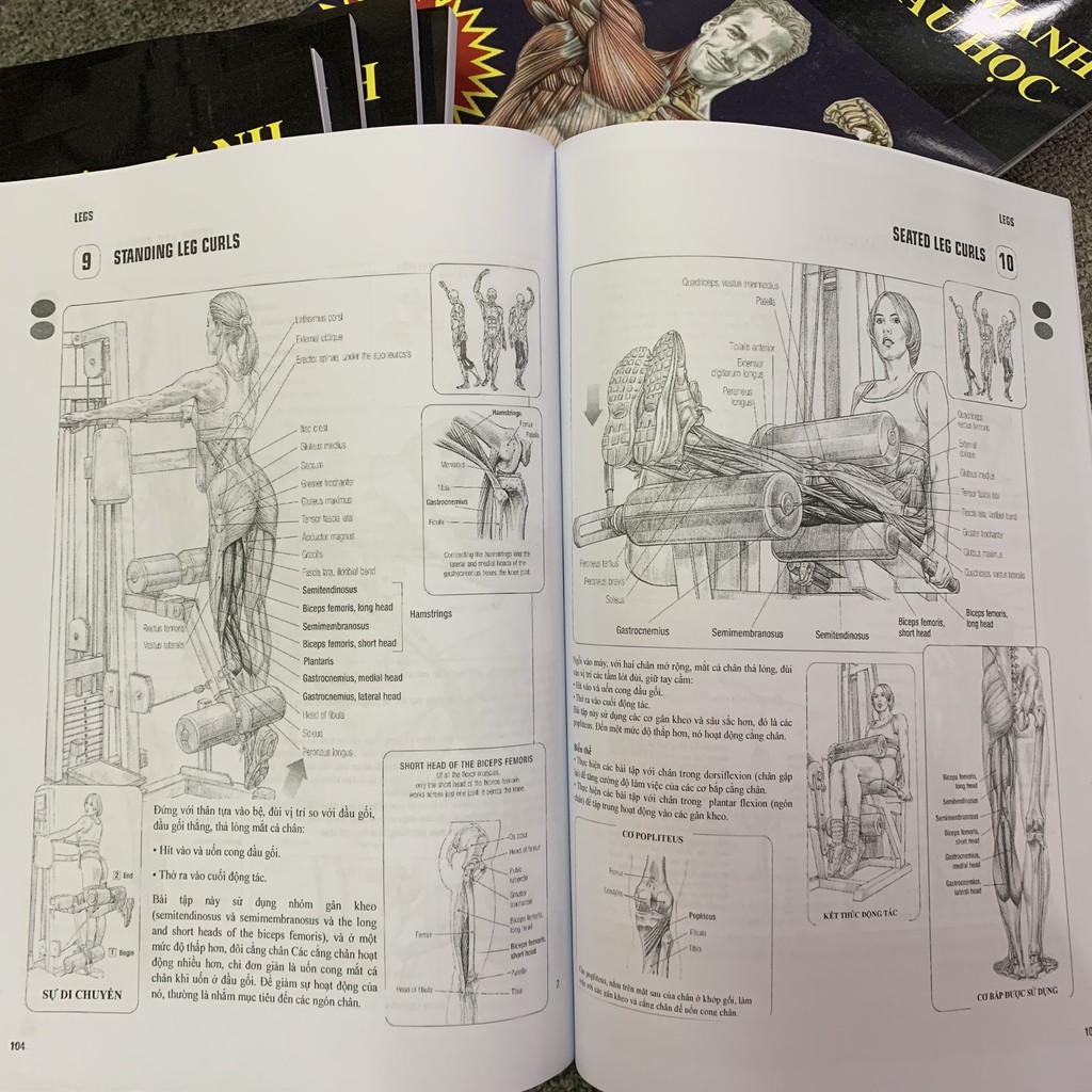 Sổ Tay Đào tạo sức mạnh với giải phẫu học phiên bản 2021