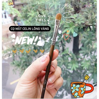 Cọ lẻ mắt nhỏ Celin