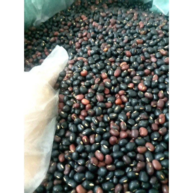 Đậu đen xanh lòng, đỗ đỏ rang sẵn túi 1kg ( đậu quê xịn )