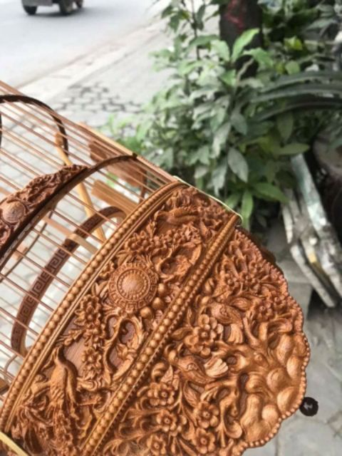 Lồng khuyên đục các tích