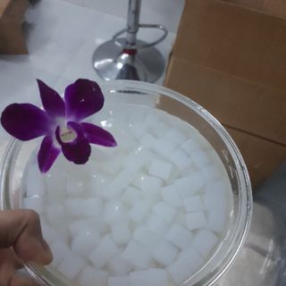 Combo sỉ 10kg Thạch dừa thô + hương dừa