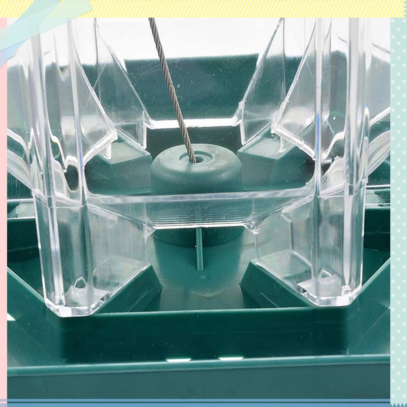 Dụng Cụ Đựng Thức Ăn Cho Chim Treo Ngoài Trời Tiện Dụng