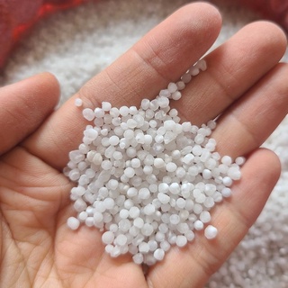 Bột báng nấu chè loại 1