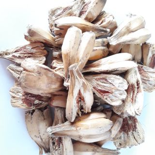 1 KG - QUẢ DỨA RỪNG ( DỨA DẠI )