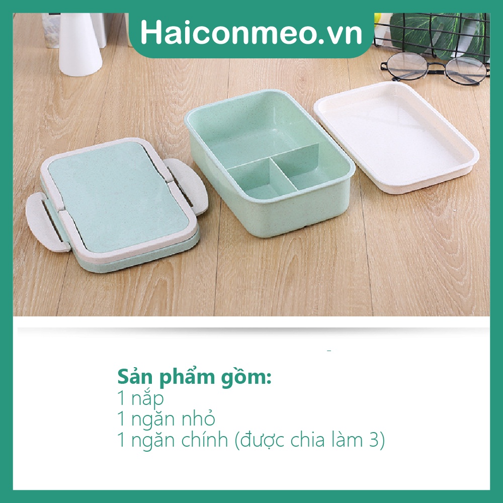 Hộp cơm lúa mạch văn phòng 2 tầng SQUIRREL thân thiện môi trường 800ml