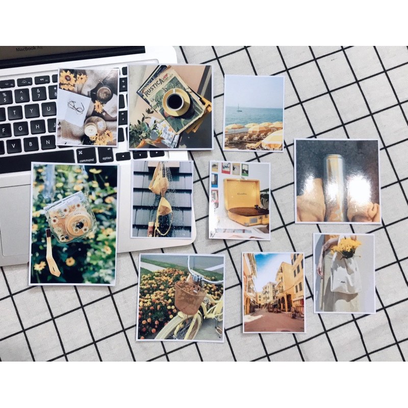 [ FreeShip ] Set  10 tấm thiệp postcard Cúc Hoạ Mi có sẵn decor trang trí phòng cực xinh