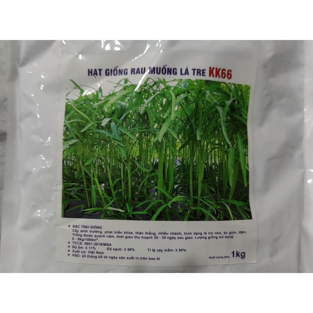 Hạt giống rau muống trồng lá nhỏ 1kg