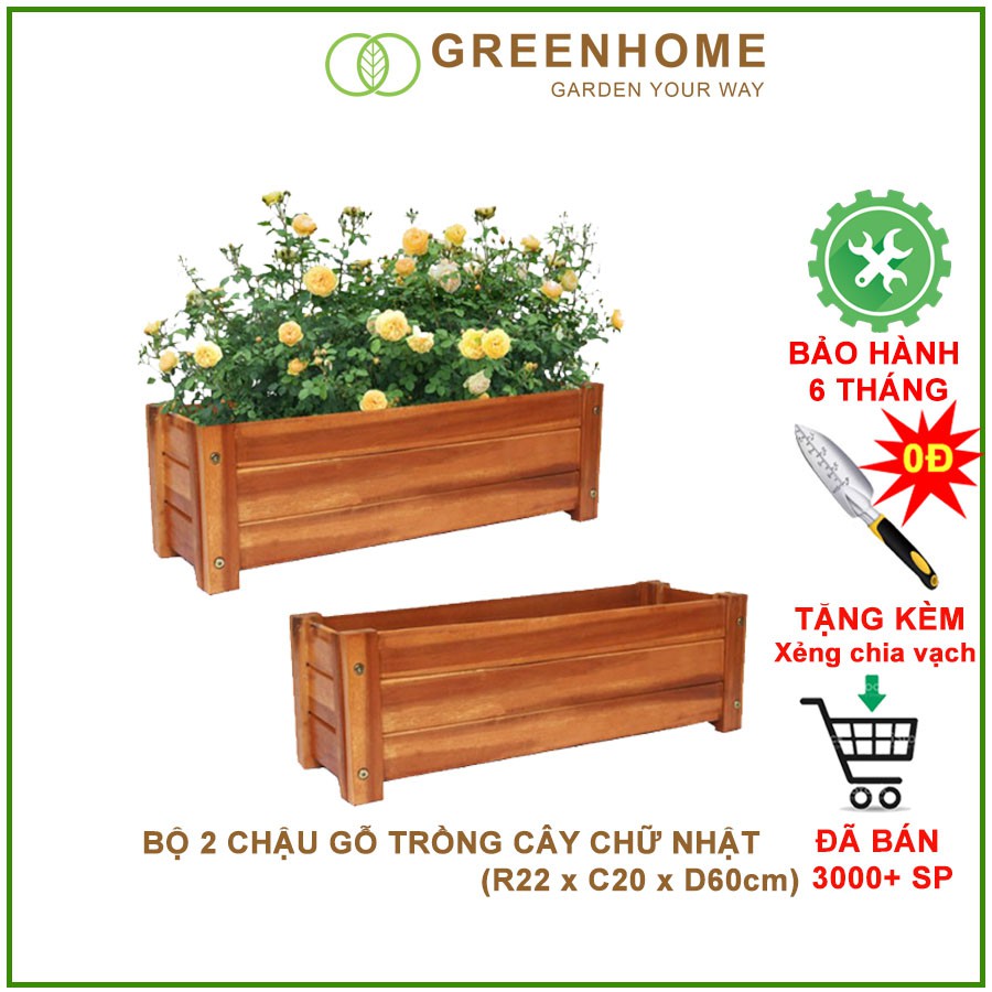 Bộ 2 Chậu gỗ trồng cây, chữ nhật D60xR22xC20cm, gỗ tràm chịu nước, tặng 2 hộp dưỡng hoa tươi lâu |Greenhome