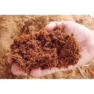 Mụn xơ dừa (túi 500gram) đã xử lý