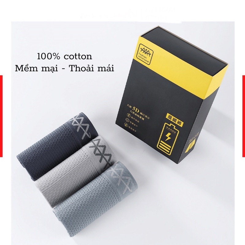 Hộp 3 quần lót nam cotton cao cấp, quần lót đùi nam cotton