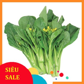 20g Hạt giống Cải ngồng