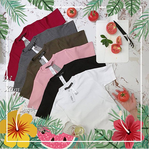 🆘BEST SELLER🆘 Áo croptop nữ ôm body AGE2X 10 màu siêu hot, chất thun borib cotton siêu co giãn, mềm mại, thấm hút H-VNXK | BigBuy360 - bigbuy360.vn