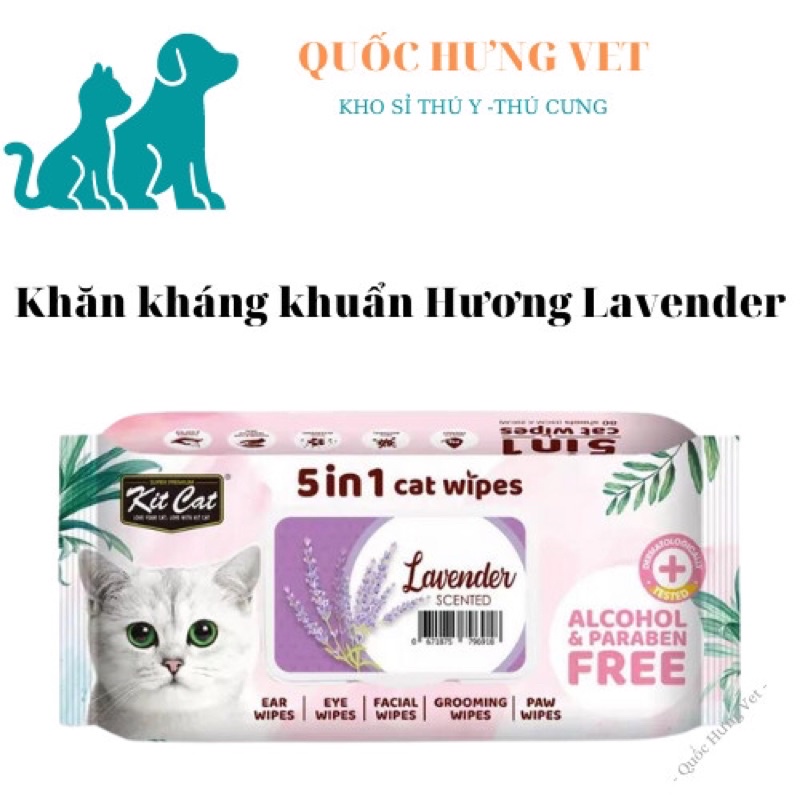 Khăn Giấy Ướt Kháng Khuẩn, Tắm Khô Cho Mèo Kit Cat  Quốc Hưng vet
