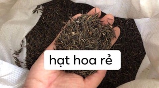 Hạt hoa cánh bướm