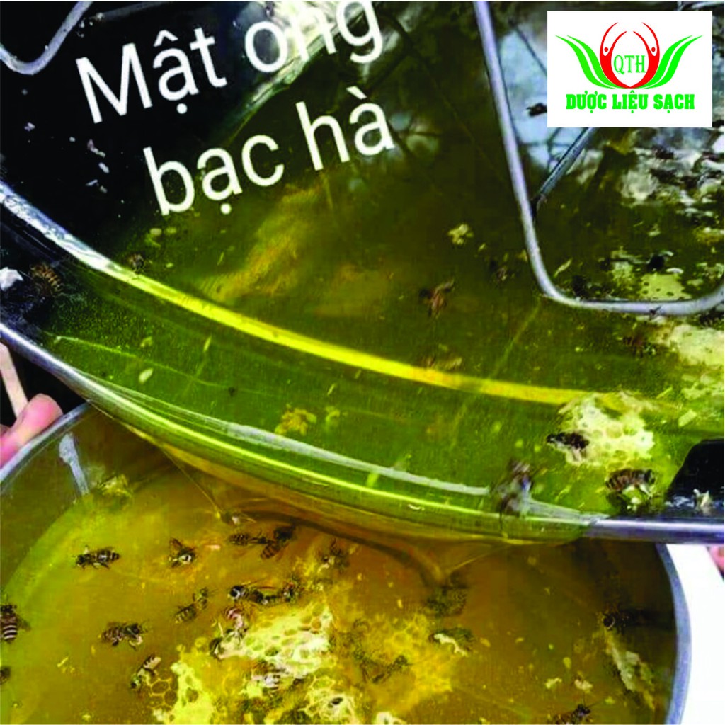 0,5 Lít mật ong Bạc hà chuẩn