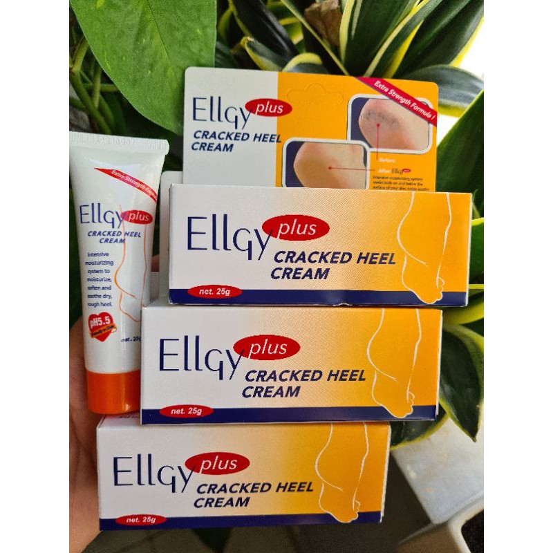 Kem Trị Nứt Gót Chân Ellgy Plus 25g | BigBuy360 - bigbuy360.vn