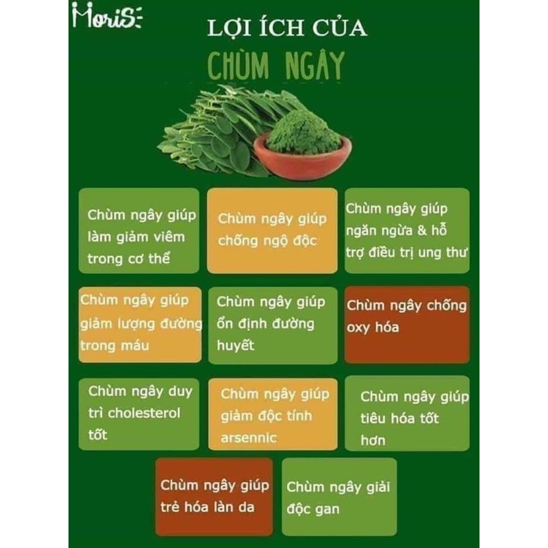 Bột chùm ngây sấy lạnh Moris