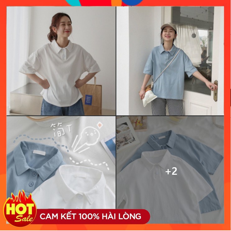 Áo polo nữ I Áo phông, thun có cổ I unisex dáng rộng cotton basic cực xinh | BigBuy360 - bigbuy360.vn