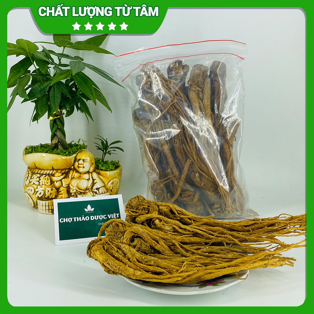 Sâm đương quy 500g (Củ đương quy, đương quy khô, loại 1) - Chợ Thảo Dược Việt