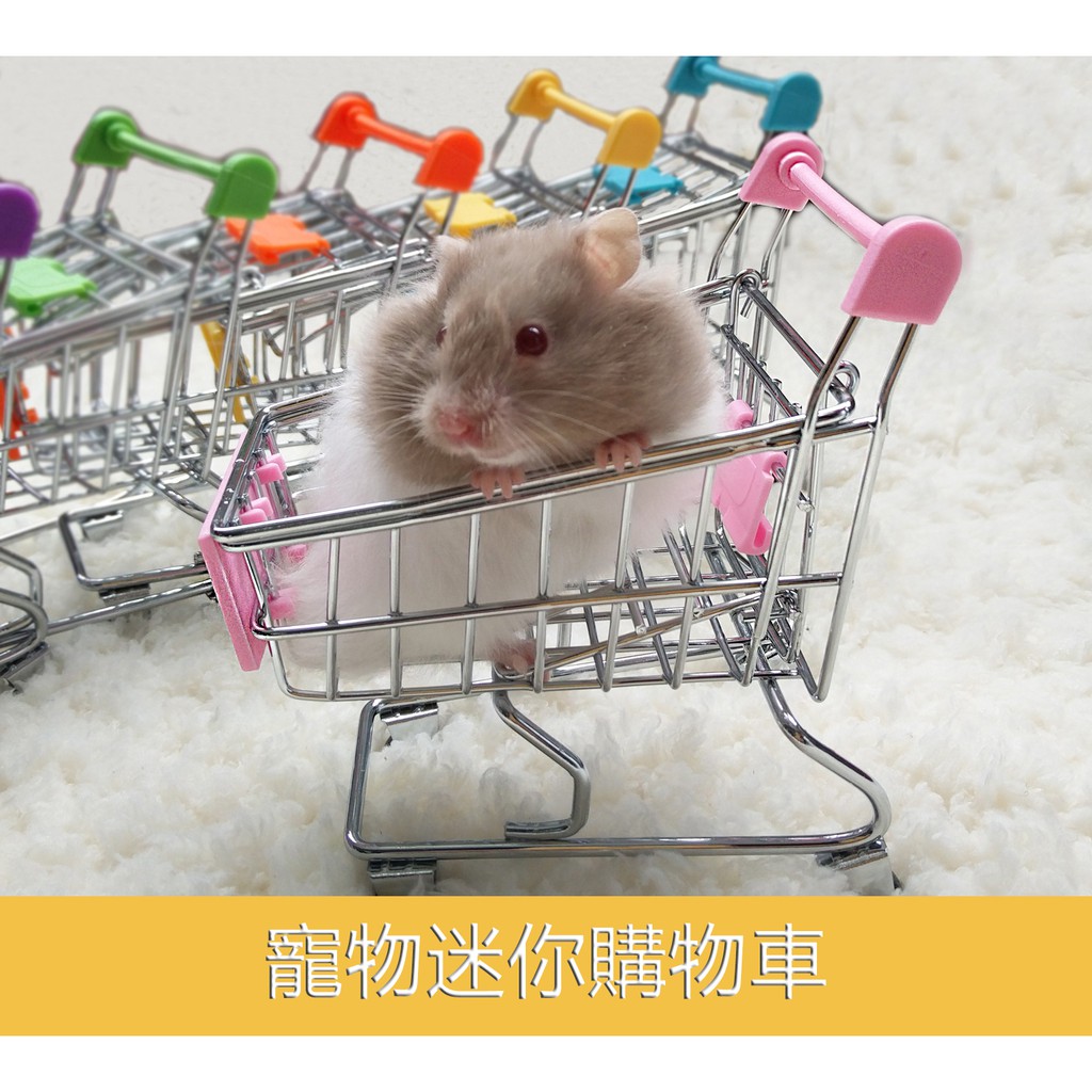 Đồ Chơi Hình Chuột Hamster 3D – Đồ Chơi Trẻ Em