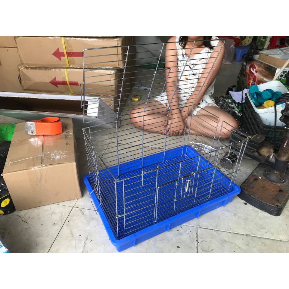 Lồng chứa chăm sóc Vẹt non