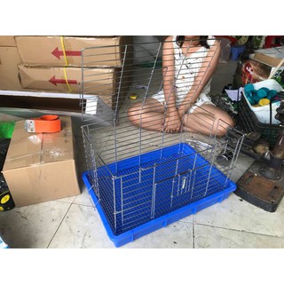 Lồng chứa chăm sóc Vẹt non