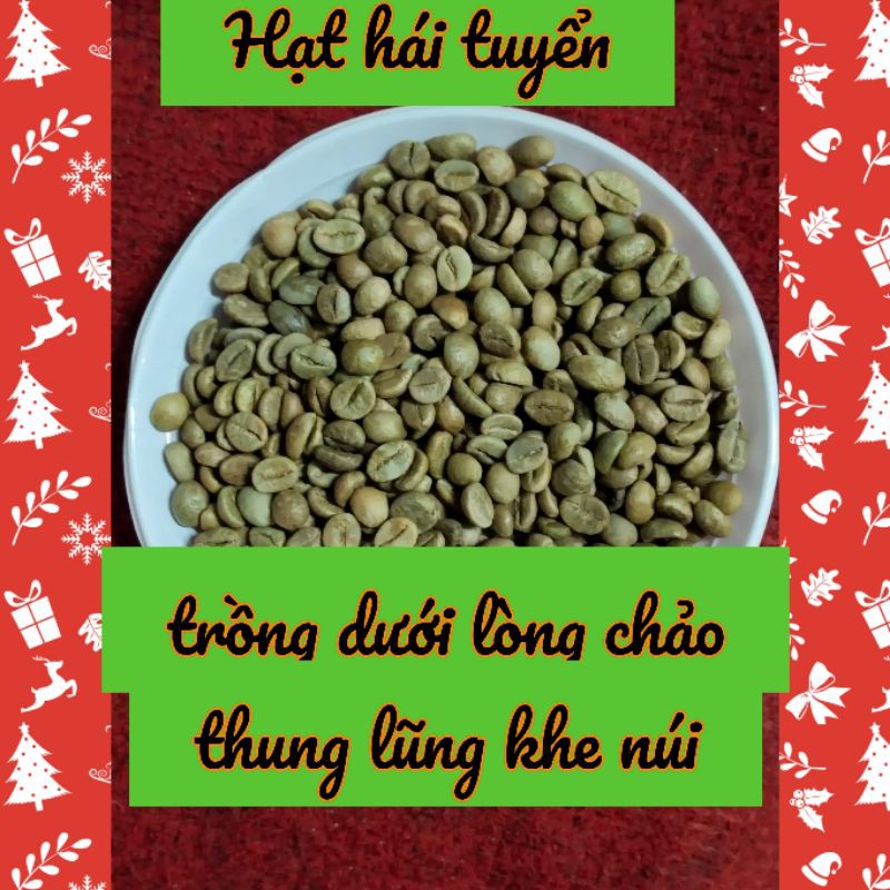 Cà Phê Nhân Lụa Robusta Thung lũng Nhà Trồng