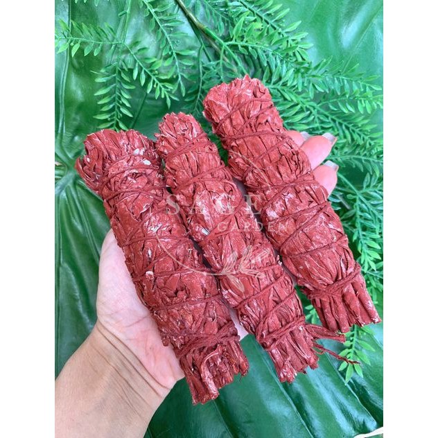 BẬC THẦY THANH TẨY - Xô Huyết Rồng (Dragon blood Sage)_Hàng nhập USA_SAGE GARDEN | BigBuy360 - bigbuy360.vn