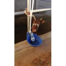 Máng uống nước tự động Dương ninh cho bò (Pakistan ) Van Đồng MB14