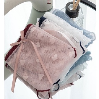 Quần Lót nữ Có Viền Sexy - Quần Lót Nữ Ren Đính Nơ Gợi Cảm Siêu Xinh AMYBRA L006