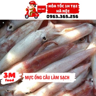 Mực ống câu - làm sạch cấp đông khô 3m food hs