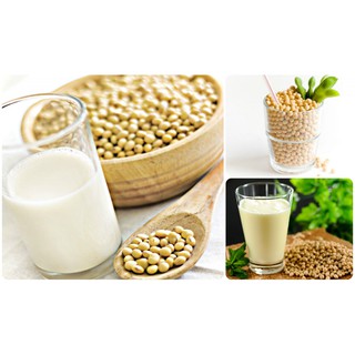Đậu nành (đỗ tương, đậu tương)