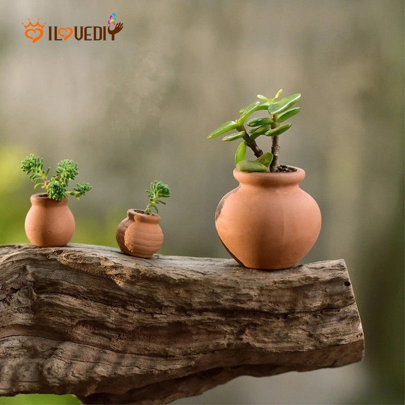 Chậu Trồng Cây Mini Tỉ Lệ 1: 12 Trang Trí Nhà Búp Bê