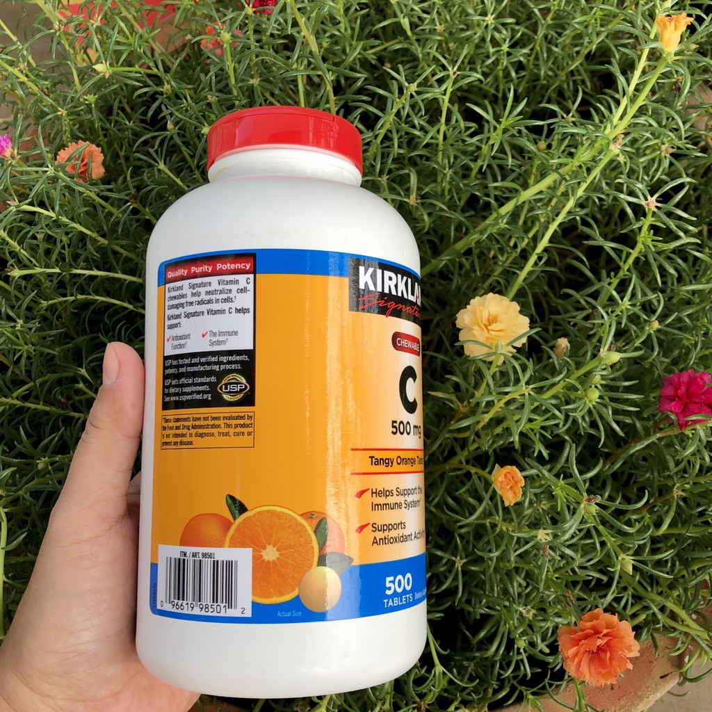 ❤️ [Quận 3] Viên Ngậm Kirkland C 500mg 500 Viên Mỹ Hương Vị Cam [Date 2024] | BigBuy360 - bigbuy360.vn