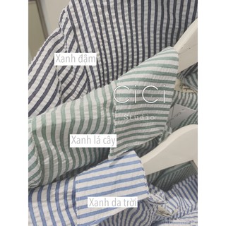 Sơmi kẻ xẻ lưng CICISTUDIO