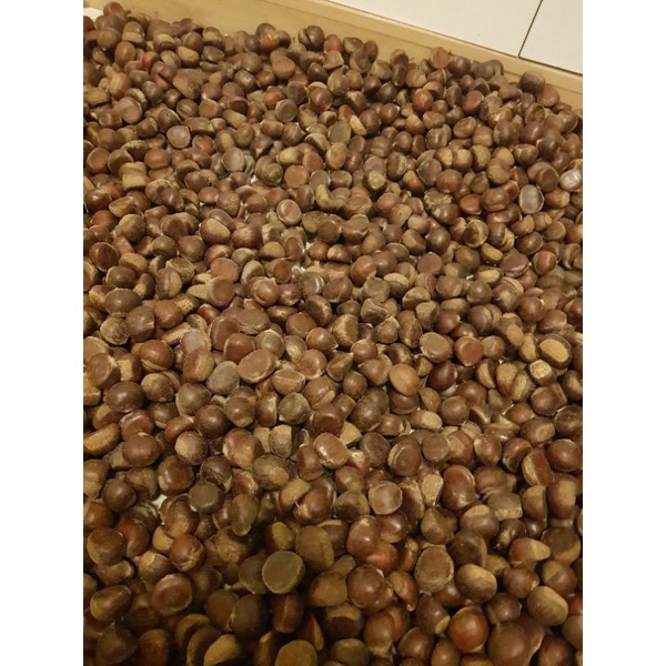 1KG HẠT DẺ TƯƠI BÓC SẴN VỎ ĐỂ NẤU HẦM LÀM SỮA HẠT CHIÊN MẬT ONG SIÊU NGON