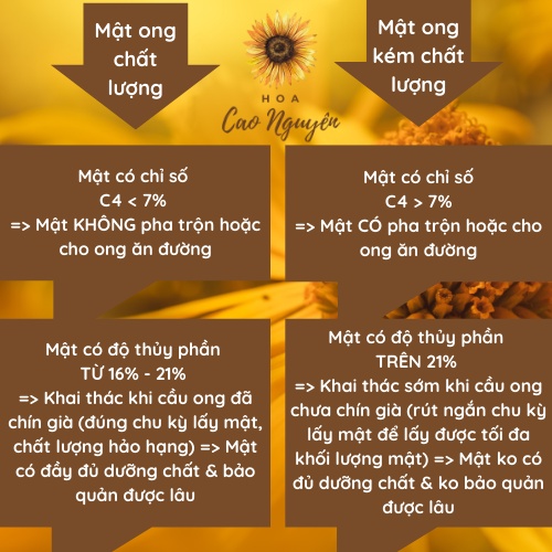 Mật ong nguyên chất hoa cà phê HOA CAO NGUYÊN - Đạt chuẩn xuất khẩu