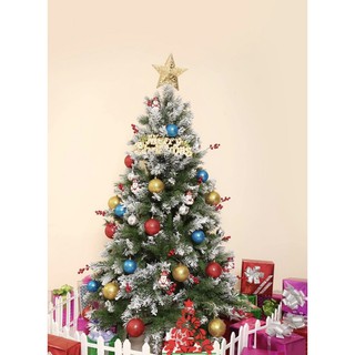 Cây Thông Noel Phủ Tuyết Lá Dày Tán Rộng Cao 1m2