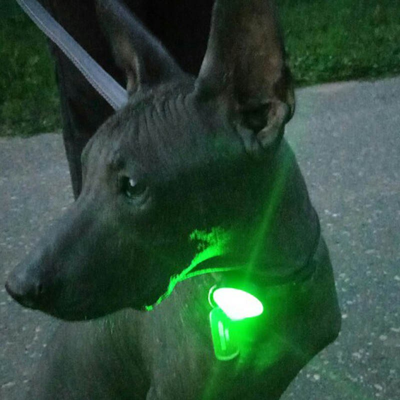 TRUELOVE Pet Dog Led Light Lamp Tag Led Dog Collar Light Pendant Glow Night Safety Led Dogs Flashlight For Collar Harness Leash