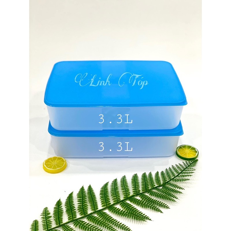 Hộp trữ đông 290ml Tupperware (3 hộp-290ml/h)