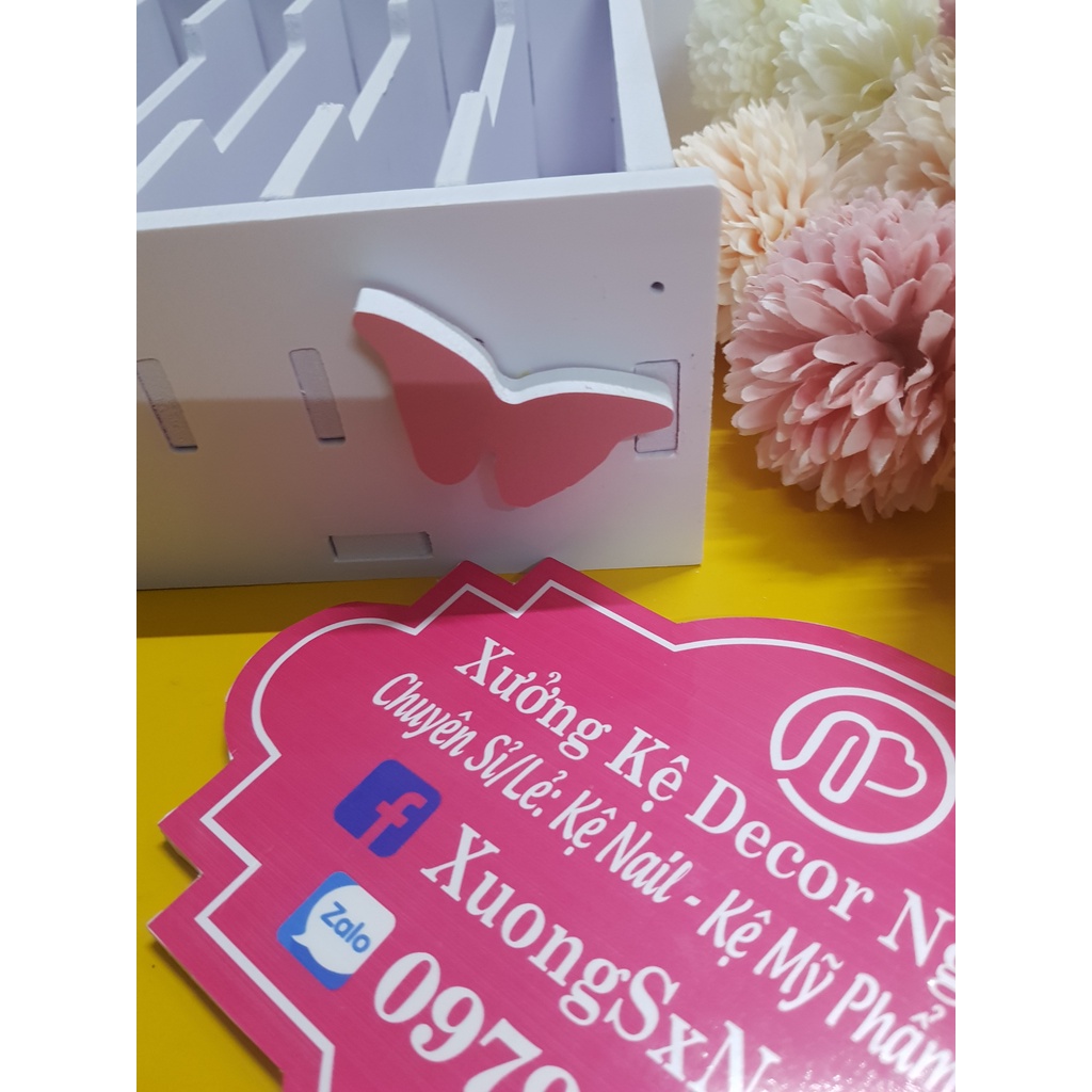 Hộp chia ngăn đựng tiền quầy thu ngân núm hình bướm xinh xắn