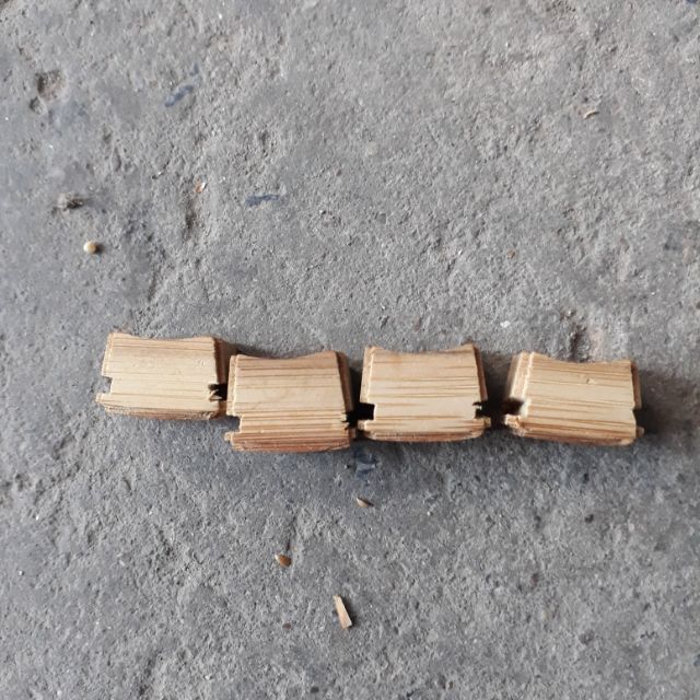 6 tai cóng tầu cho mào , chòe