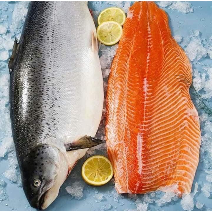 Cá Hồi Tươi Nhập Khẩu 100% NaUy - Nguyên Con và Fillet [GIAO HÀNG HỎA TỐC] | BigBuy360 - bigbuy360.vn