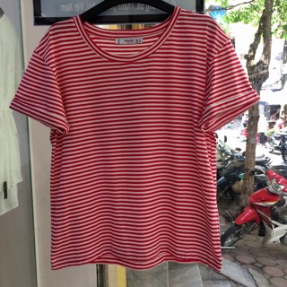 Áo thun thời trang 100% cotton