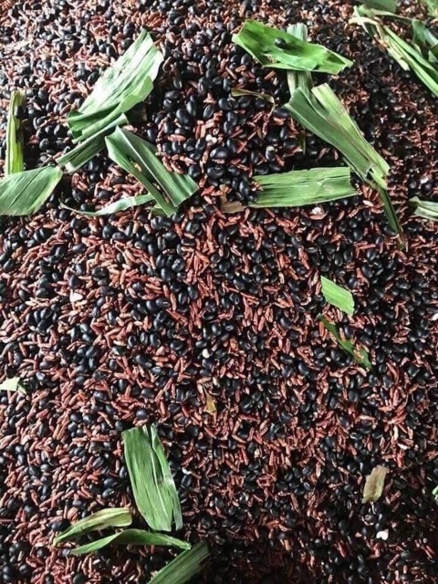 (1kg) trà gạo lứt đậu đen xanh lòng (trà gạo lứt đỗ đen) | BigBuy360 - bigbuy360.vn