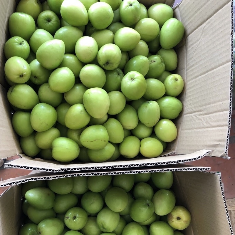 Táo tươi Ninh Thuận
