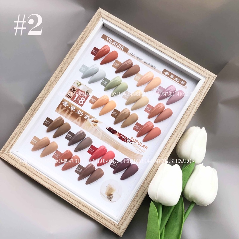 Set sơn Yilaijia 18 màu