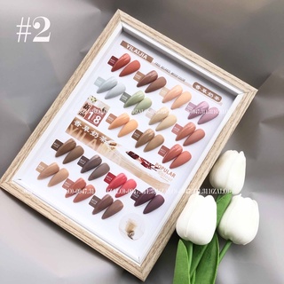 Set sơn Yilaijia 18 màu